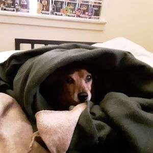 Meet your Posher, Zach